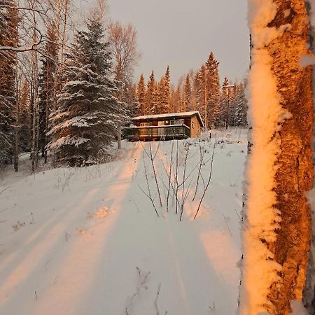 Northwoods Cottage Bed And Breakfast Fairbanks Luaran gambar