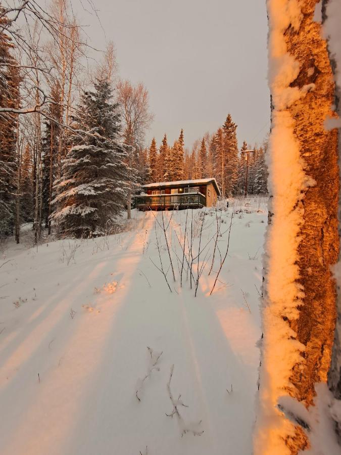 Northwoods Cottage Bed And Breakfast Fairbanks Luaran gambar