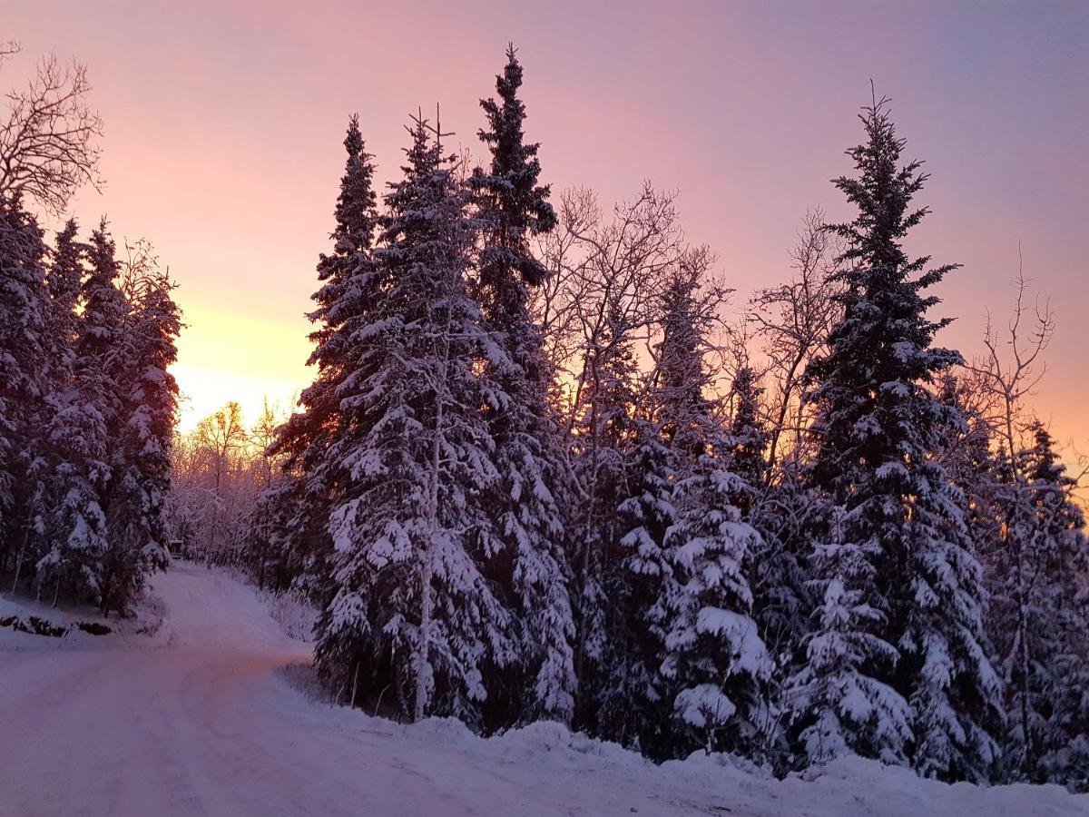 Northwoods Cottage Bed And Breakfast Fairbanks Luaran gambar