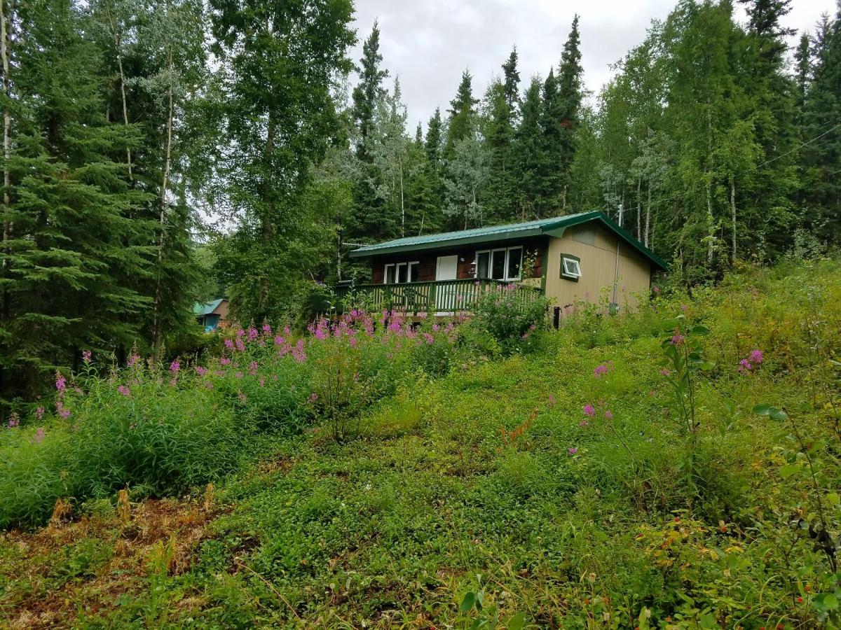 Northwoods Cottage Bed And Breakfast Fairbanks Luaran gambar