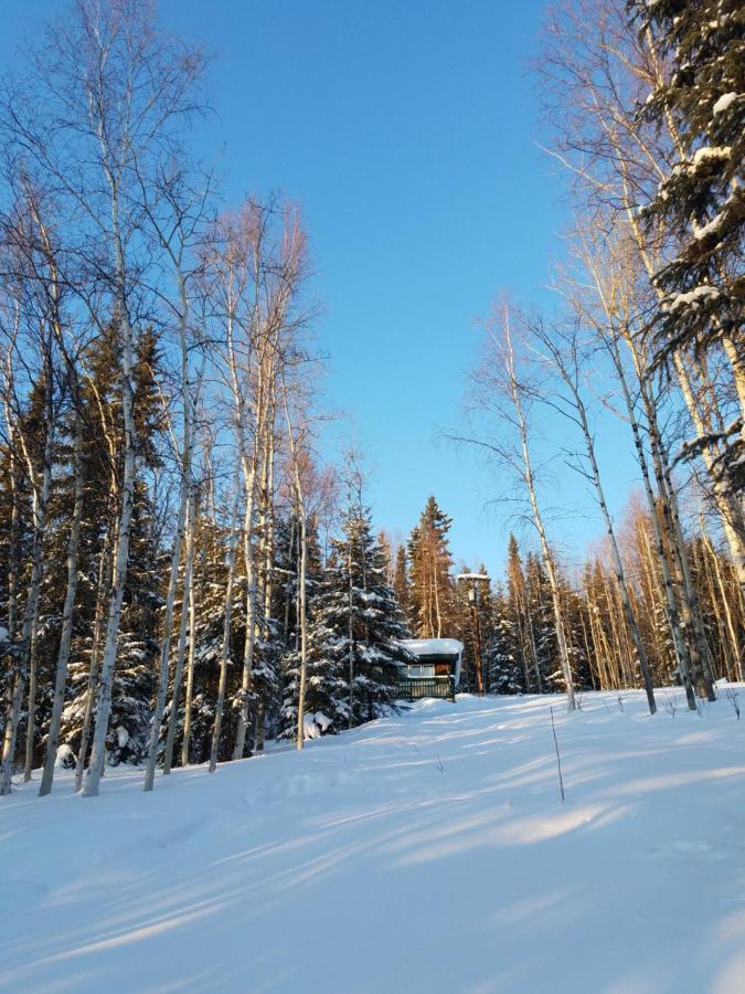 Northwoods Cottage Bed And Breakfast Fairbanks Luaran gambar