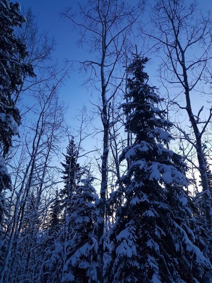 Northwoods Cottage Bed And Breakfast Fairbanks Luaran gambar