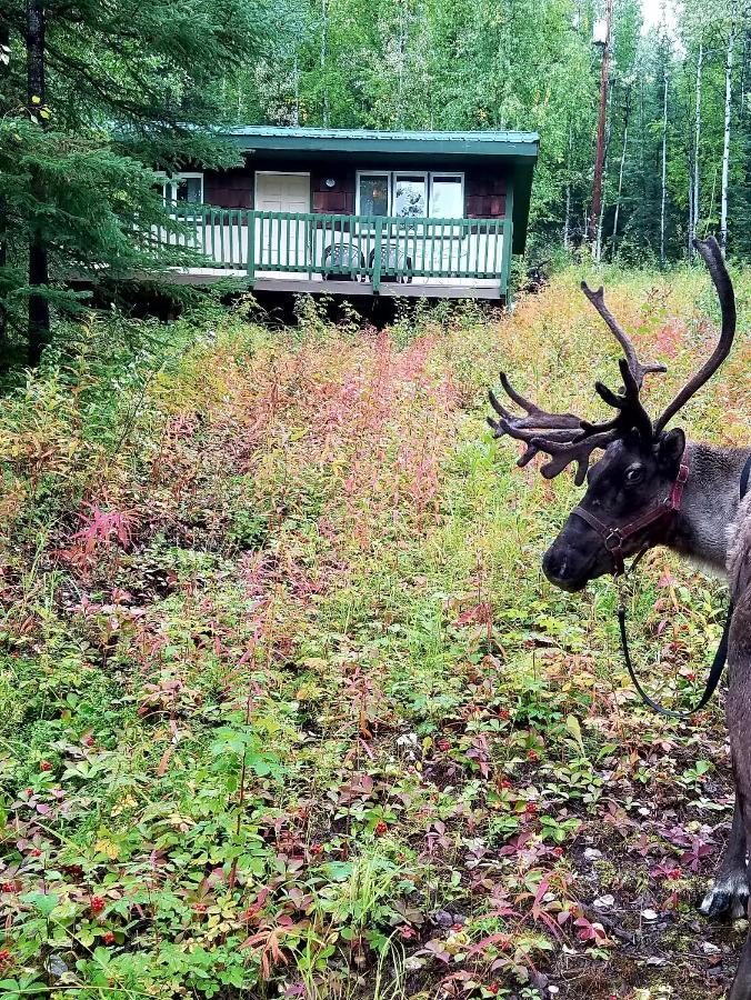 Northwoods Cottage Bed And Breakfast Fairbanks Luaran gambar