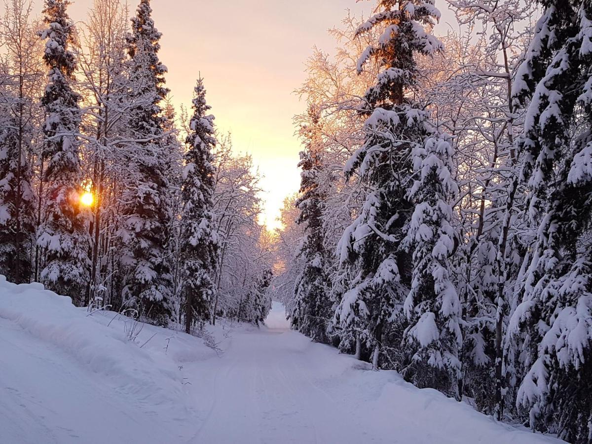 Northwoods Cottage Bed And Breakfast Fairbanks Luaran gambar