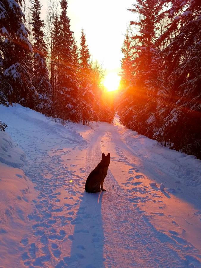 Northwoods Cottage Bed And Breakfast Fairbanks Luaran gambar