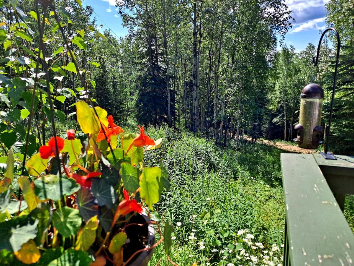 Northwoods Cottage Bed And Breakfast Fairbanks Luaran gambar