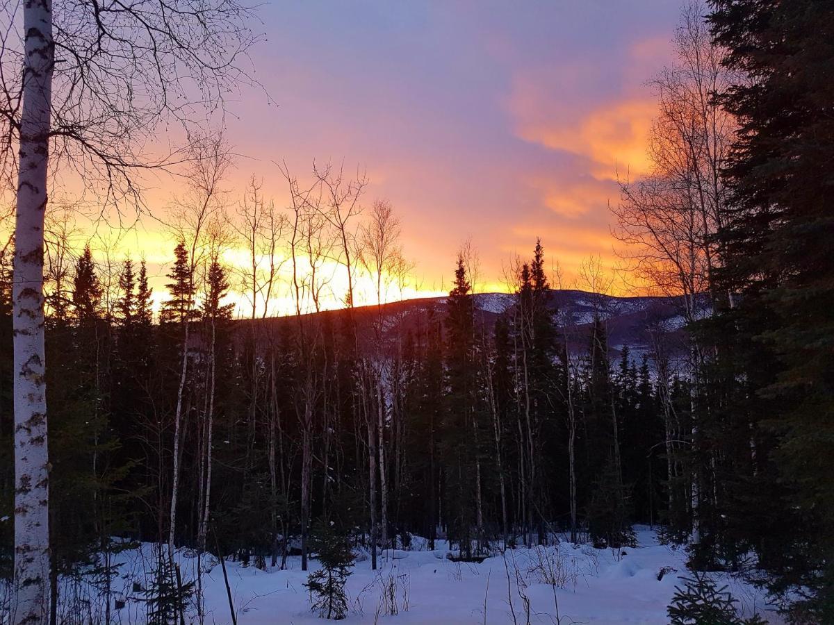 Northwoods Cottage Bed And Breakfast Fairbanks Luaran gambar