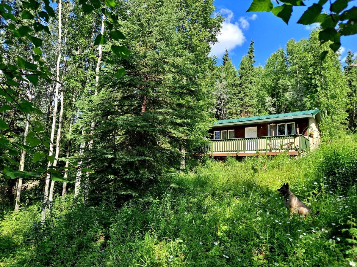Northwoods Cottage Bed And Breakfast Fairbanks Luaran gambar