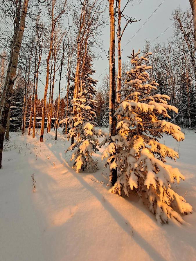 Northwoods Cottage Bed And Breakfast Fairbanks Luaran gambar